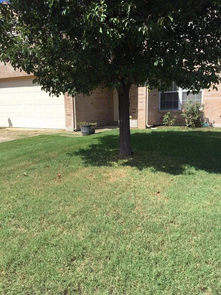 Local garden landscaping for year-round maintenance in San Antonio, TX by Alamo Mowing