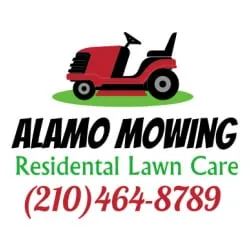 Top-rated lawn care service experts serving San Antonio, TX - Alamo Mowing