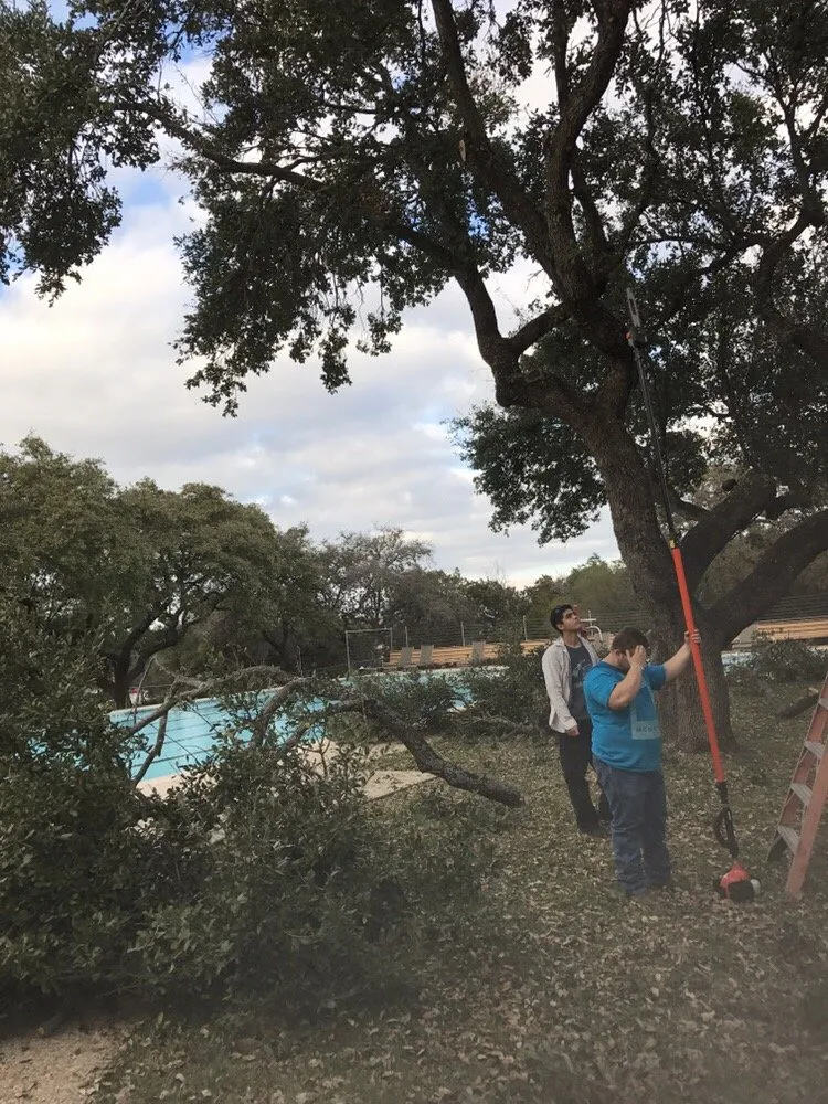 Reliable lawn mowing service for year-round maintenance across San Antonio, TX - Alamo Mowing