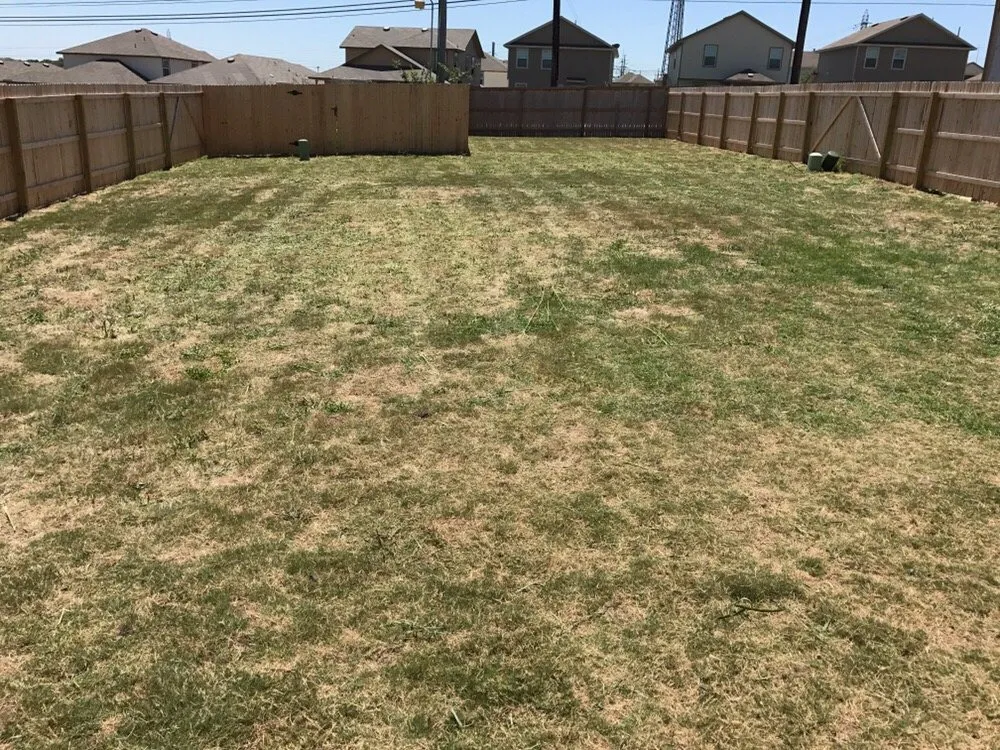 Reliable yard cleanup service experts serving San Antonio, TX - Alamo Mowing