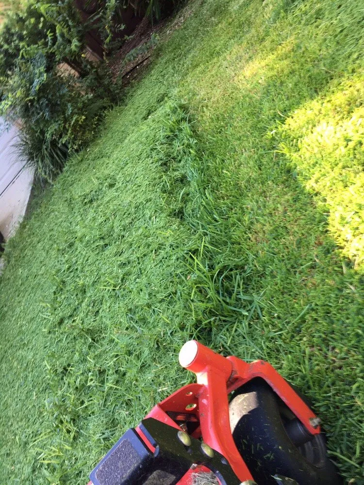 Top-rated landscape installation in San Antonio, TX - Alamo Mowing