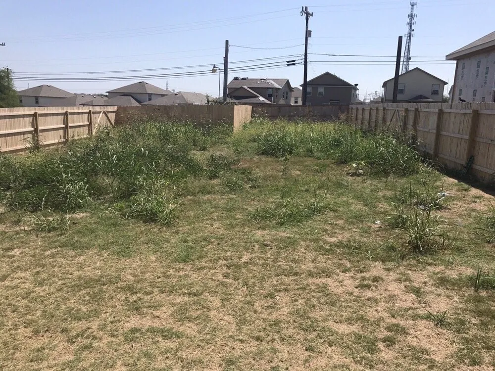 Professional landscaping services in San Antonio, TX - Alamo Mowing