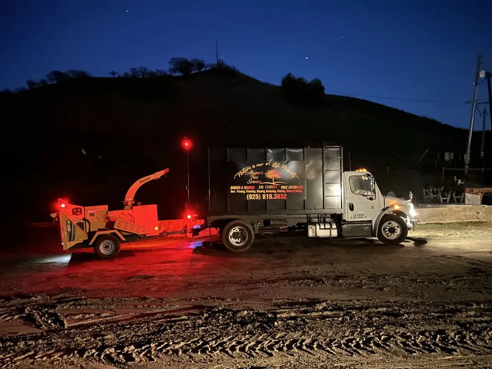 Reliable lawn care service experts serving Livermore, CA - Alamo’s Tree Service