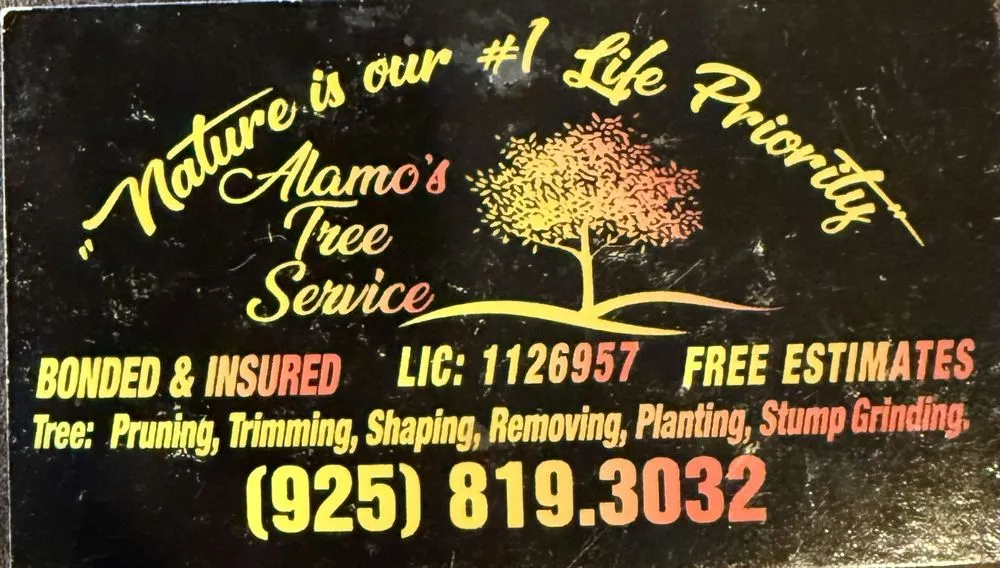 Affordable landscaping services in Livermore, CA by Alamo’s Tree Service
