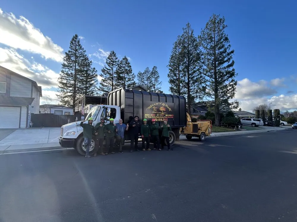 Expert yard maintenance in Livermore, CA by Alamo’s Tree Service