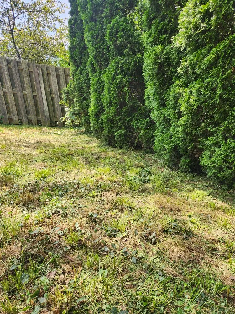 Professional lawn mowing service for beautiful yards across Lexington-Fayette, KY - Alan & Son Landscaping and Lawn Care