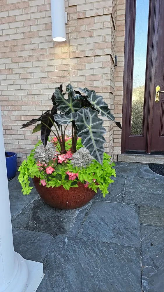 Expert garden landscaping experts serving Bartlett, IL - Alan Horticulture