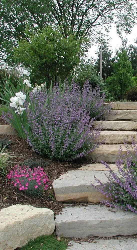 Reliable lawn mowing service in Bartlett, IL - Alan Horticulture