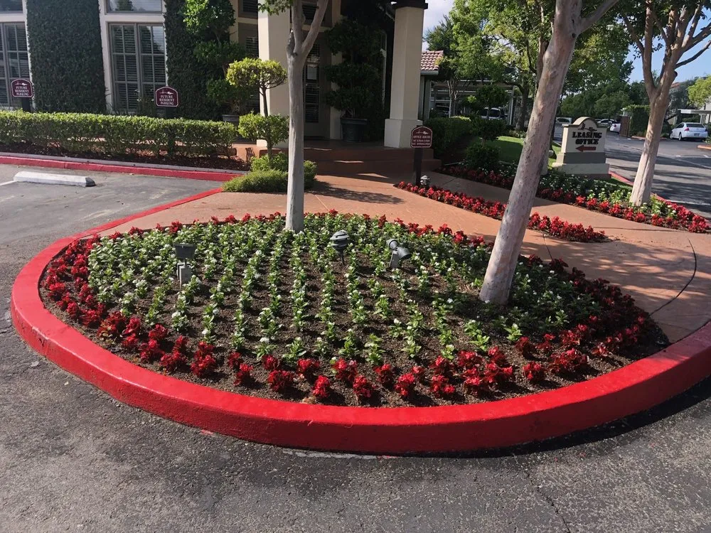 Top-rated yard cleanup service in Bakersfield, CA - Alan Jack Lawn Service