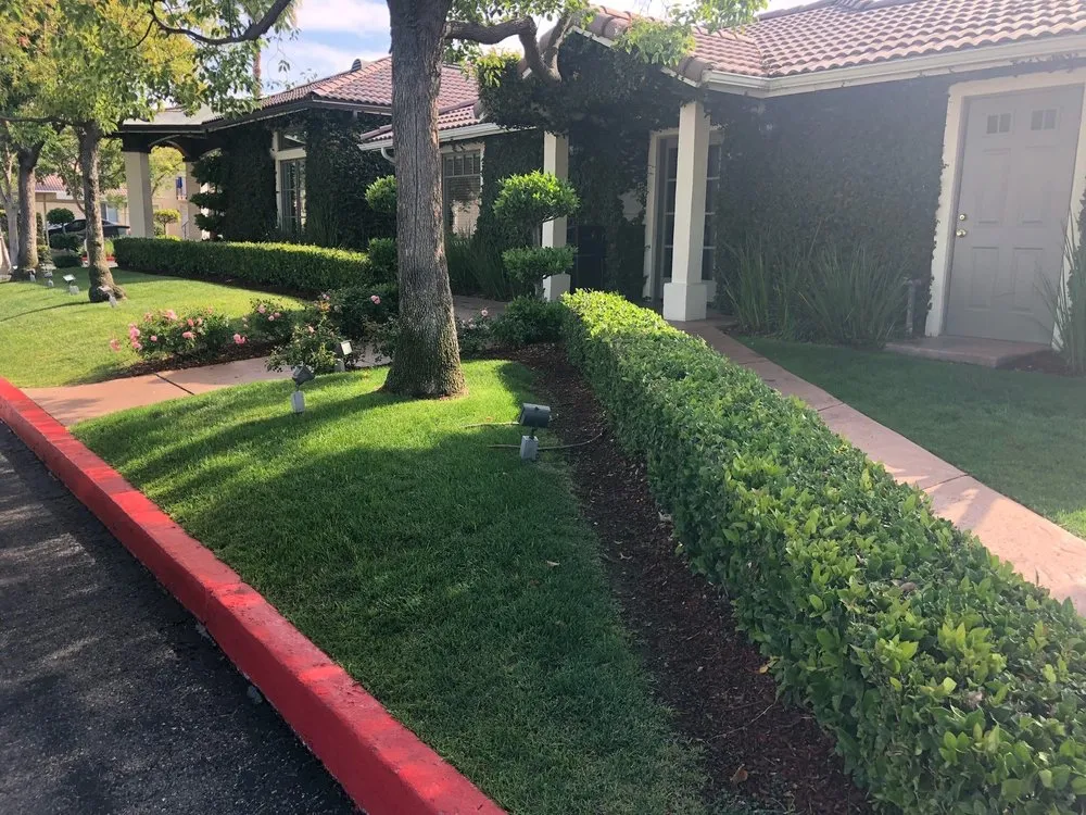 Expert lawn mowing service in Bakersfield, CA by Alan Jack Lawn Service
