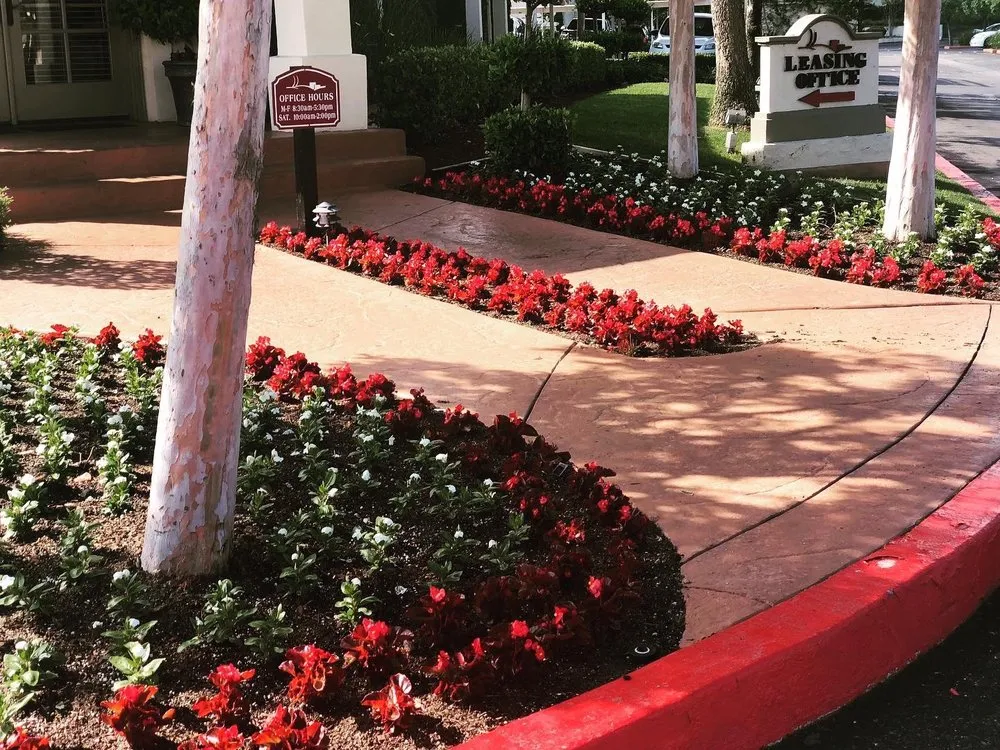 Affordable landscape installation in Bakersfield, CA by Alan Jack Lawn Service