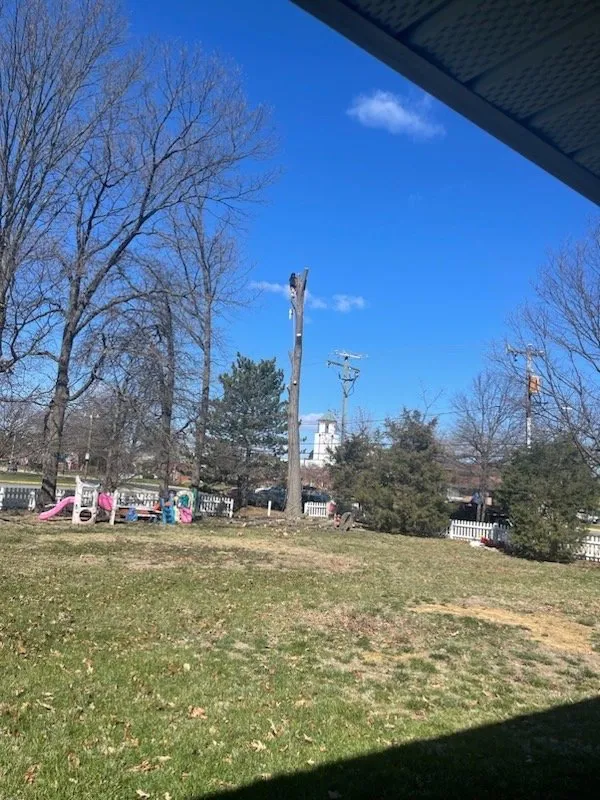 Local garden landscaping for outdoor upgrades across Alexandria, VA - Alan Landscaping