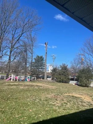 Alan Landscaping Logo