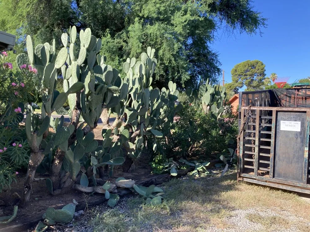 Professional landscape design near you across Tucson, AZ - Alan Landscaping