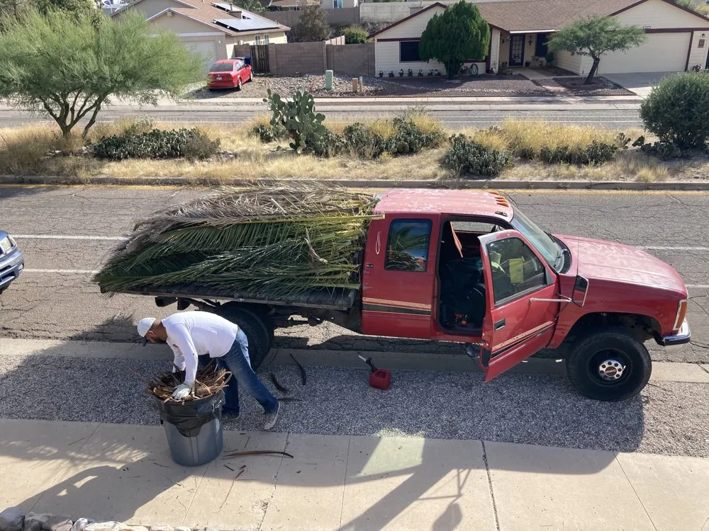 Custom landscape design near you across Tucson, AZ - Alan Landscaping