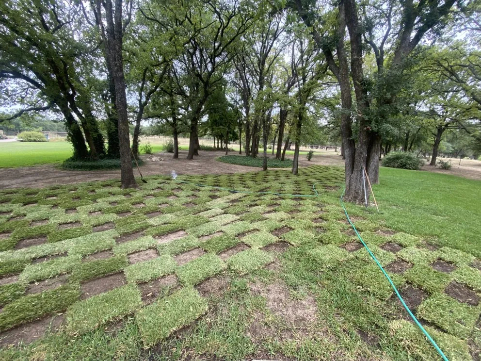 Custom landscape design for year-round maintenance across Granbury, TX - Alan Lawn Care