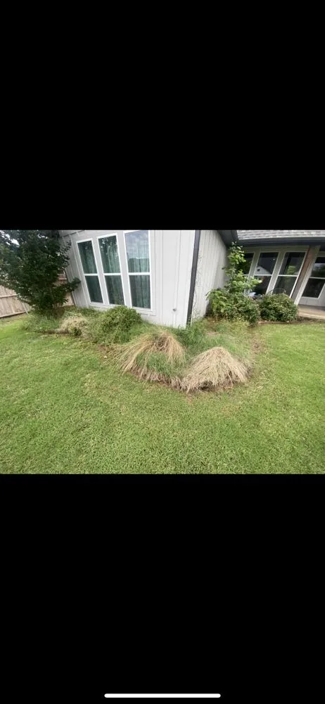 Professional lawn mowing service in Granbury, TX by Alan Lawn Care