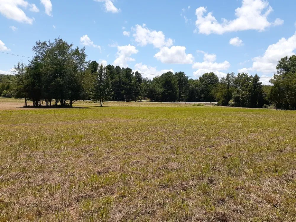 Affordable residential landscaping experts serving Jacksonville, AR - Alan Lawns & Bushhoging