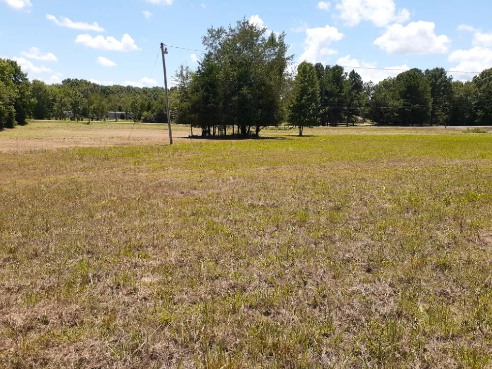 Reliable yard cleanup service in Jacksonville, AR - Alan Lawns & Bushhoging