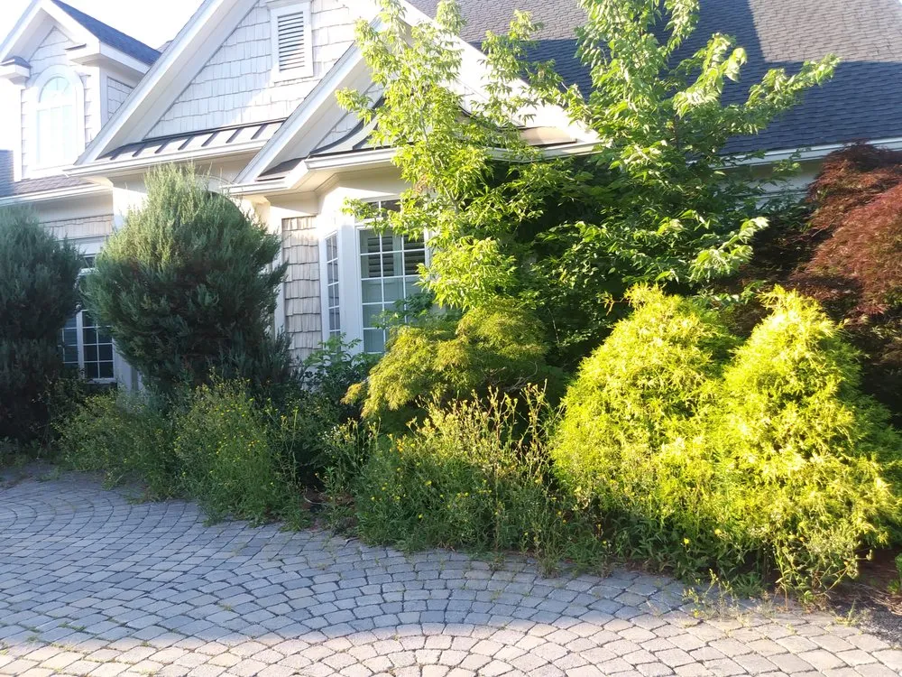 Expert yard maintenance in Bloomfield, NY by Alana James Landscaping and Design