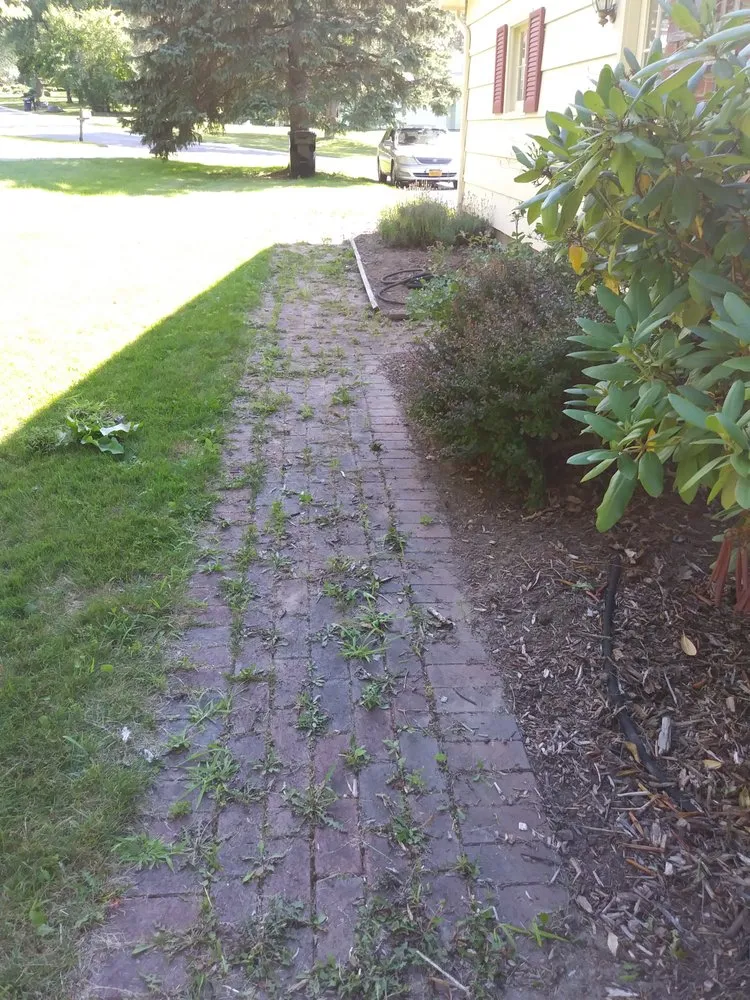 Local residential landscaping in Bloomfield, NY - Alana James Landscaping and Design