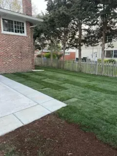 Local lawn mowing service in Chicago, IL - Alanis concrete services