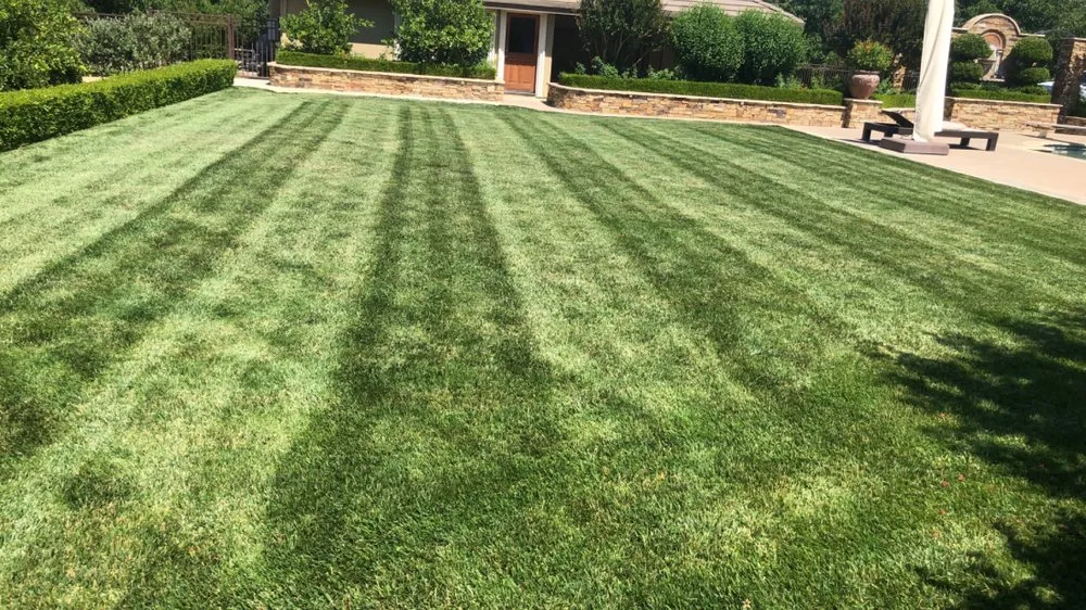 Affordable outdoor landscaping experts serving Winters, CA - Alanis Landscaping