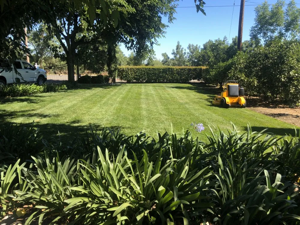 Professional lawn care service in Winters, CA by Alanis Landscaping