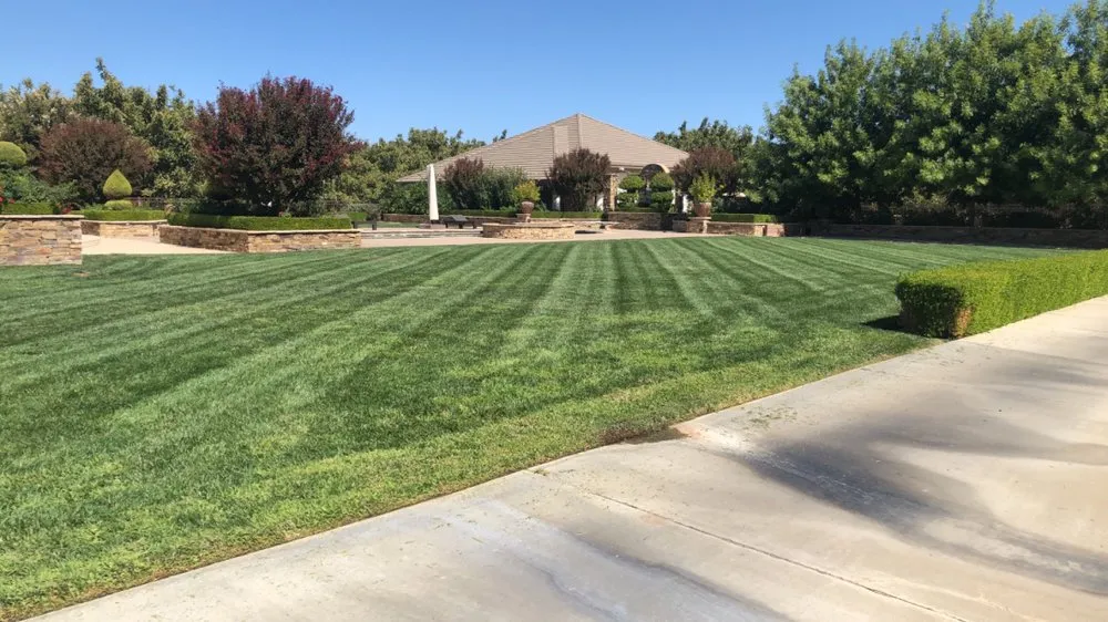 Trusted landscaping services experts serving Winters, CA - Alanis Landscaping