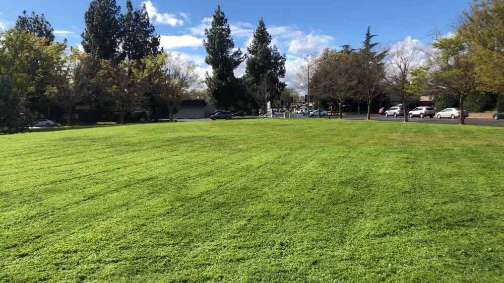 Custom garden landscaping in Winters, CA - Alanis Landscaping