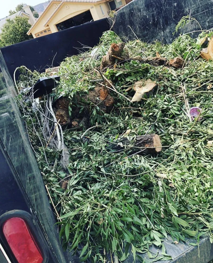 Custom lawn mowing service with custom design across Littlerock, CA - Alaniz Landscaping