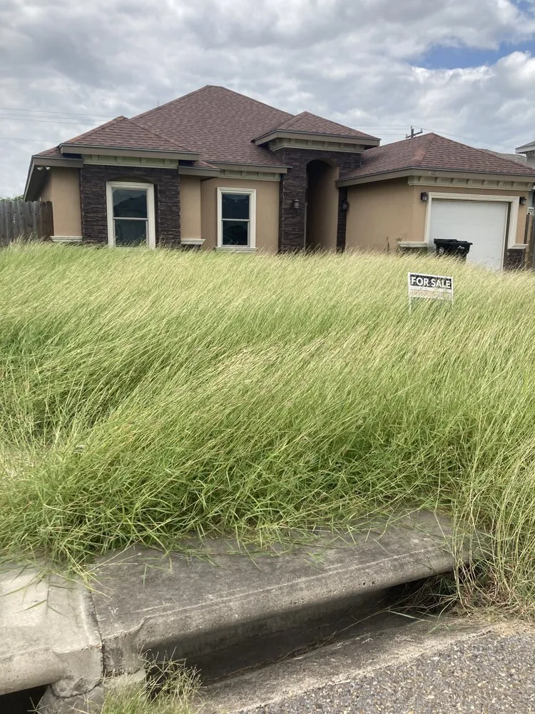 Professional garden landscaping with custom design across Mercedes, TX - Alaniz Landscaping