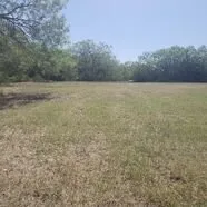 Top-rated yard maintenance for year-round maintenance in San Antonio, TX by Alaniz Lawn Services