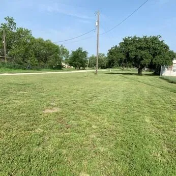 Expert outdoor landscaping in San Antonio, TX by Alaniz Lawn Services