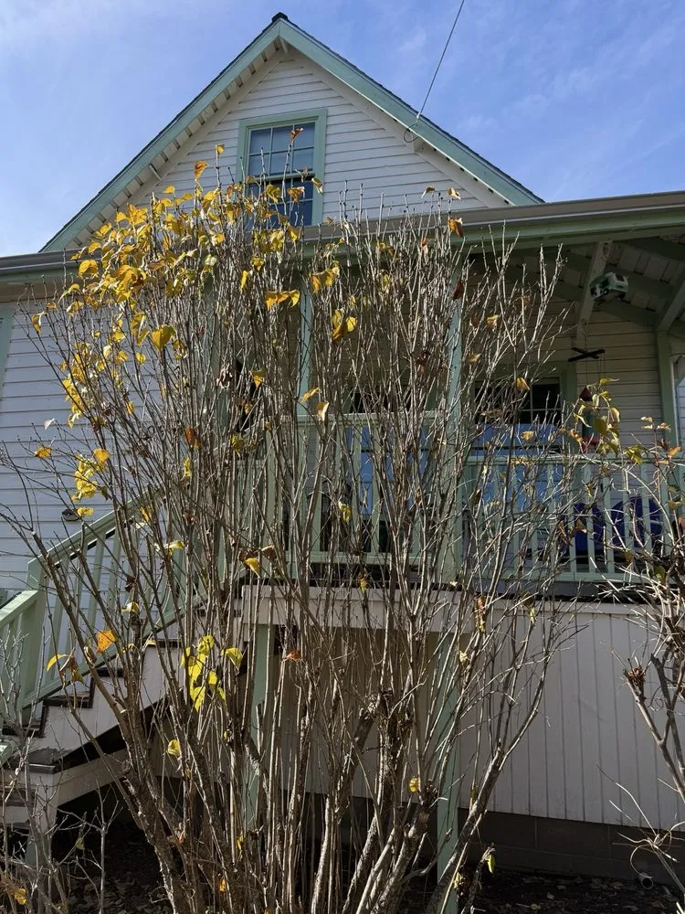 Top-rated lawn care service with custom design across Dunsmuir, CA - Alan’s Complete Landscaping Service