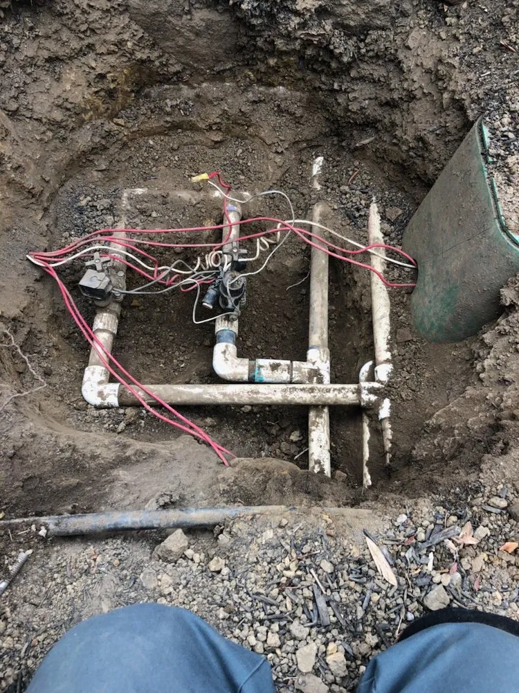 Affordable yard maintenance in Hayward, CA - Alan's Landscape Service