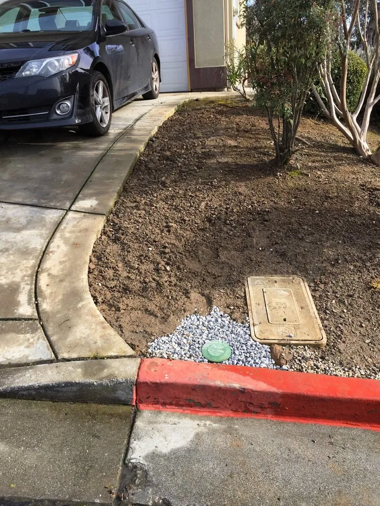 Professional residential landscaping in Hayward, CA by Alan's Landscape Service