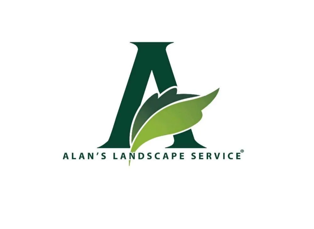 Top-rated yard maintenance in Hayward, CA - Alan's Landscape Service