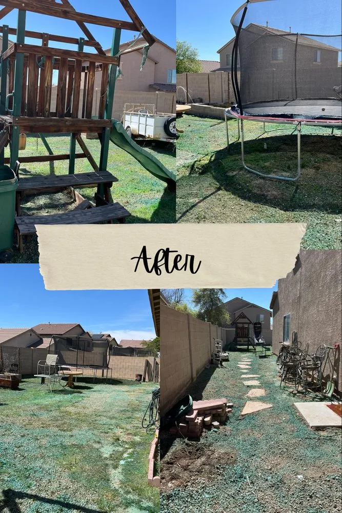 Top-rated yard cleanup service in Phoenix, AZ by Alans Landscaping