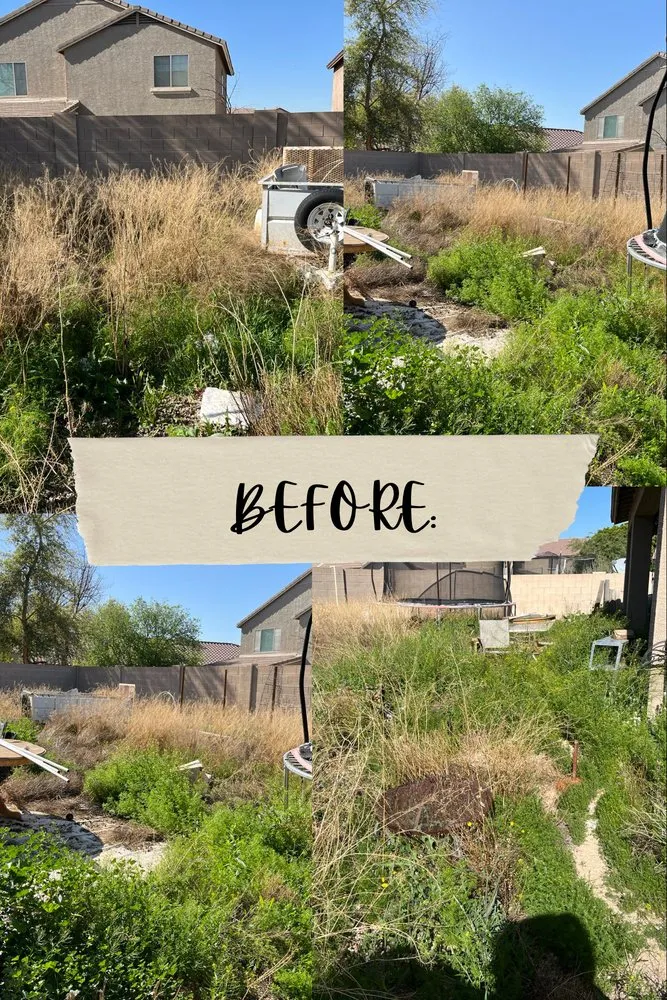 Trusted outdoor landscaping in Phoenix, AZ by Alans Landscaping