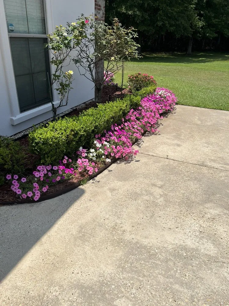 Expert outdoor landscaping experts serving Denham Springs, LA - Alan’s Lawn Care