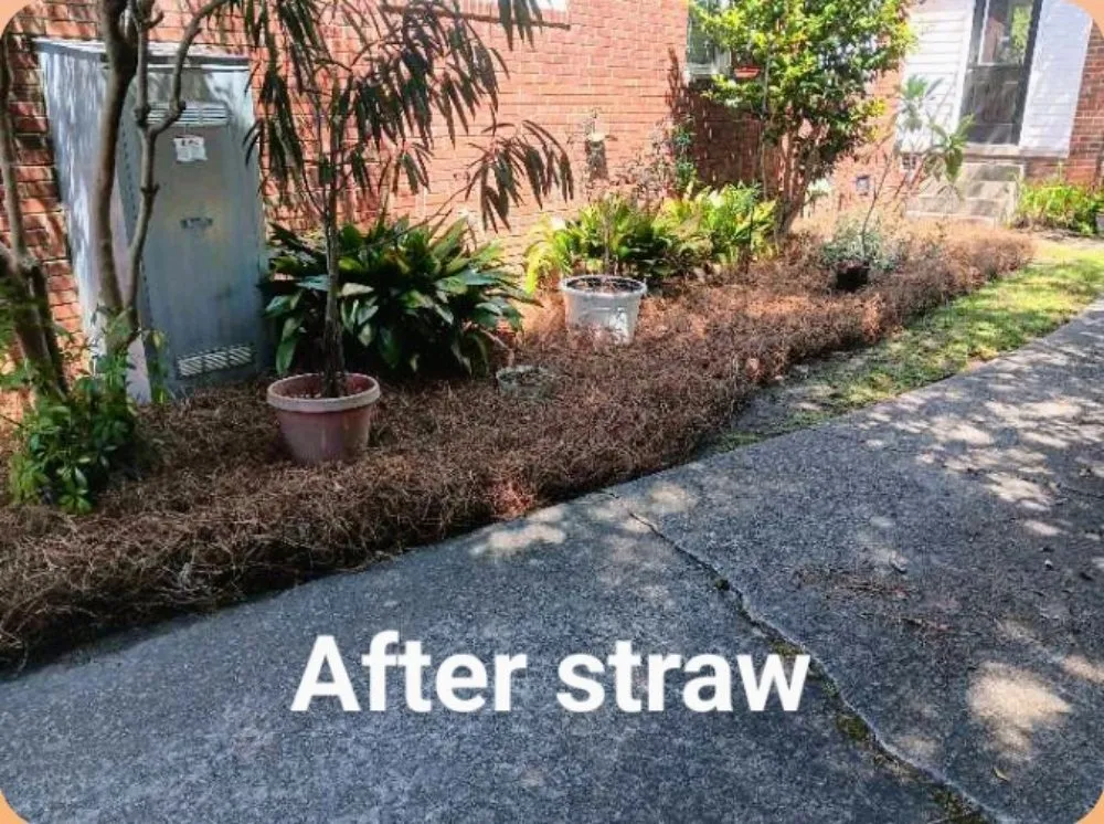 Professional landscape installation in Bradley, SC - Alan's Lawn Maintenance