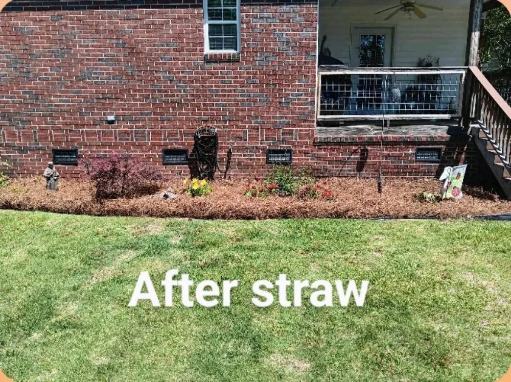 Professional landscaping services experts serving Bradley, SC - Alan's Lawn Maintenance