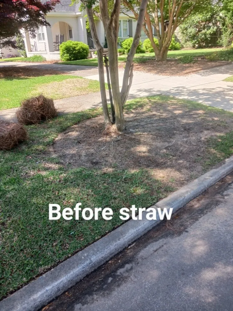 Trusted outdoor landscaping in Bradley, SC - Alan's Lawn Maintenance