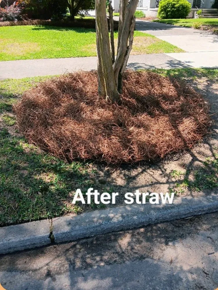 Reliable yard maintenance in Bradley, SC by Alan's Lawn Maintenance