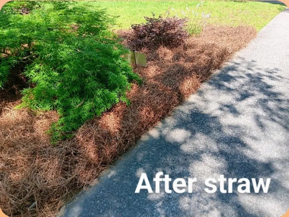 Top-rated lawn mowing service in Bradley, SC by Alan's Lawn Maintenance