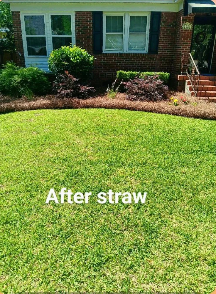 Professional lawn mowing service experts serving Bradley, SC - Alan's Lawn Maintenance