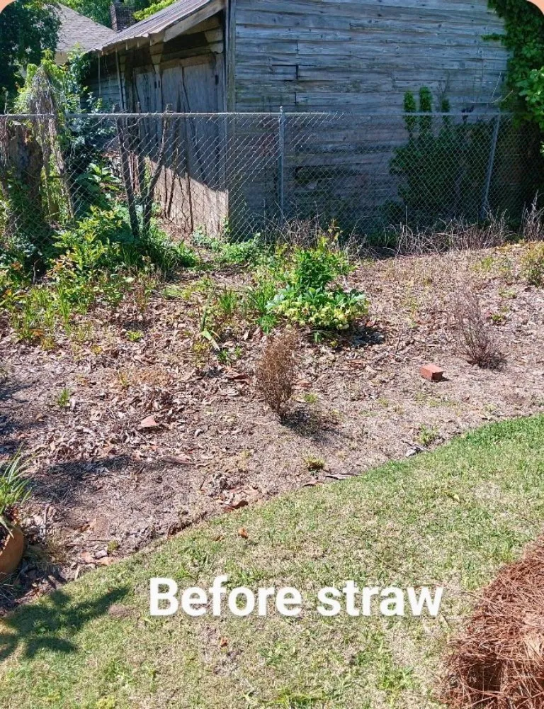 Affordable yard cleanup service in Bradley, SC - Alan's Lawn Maintenance