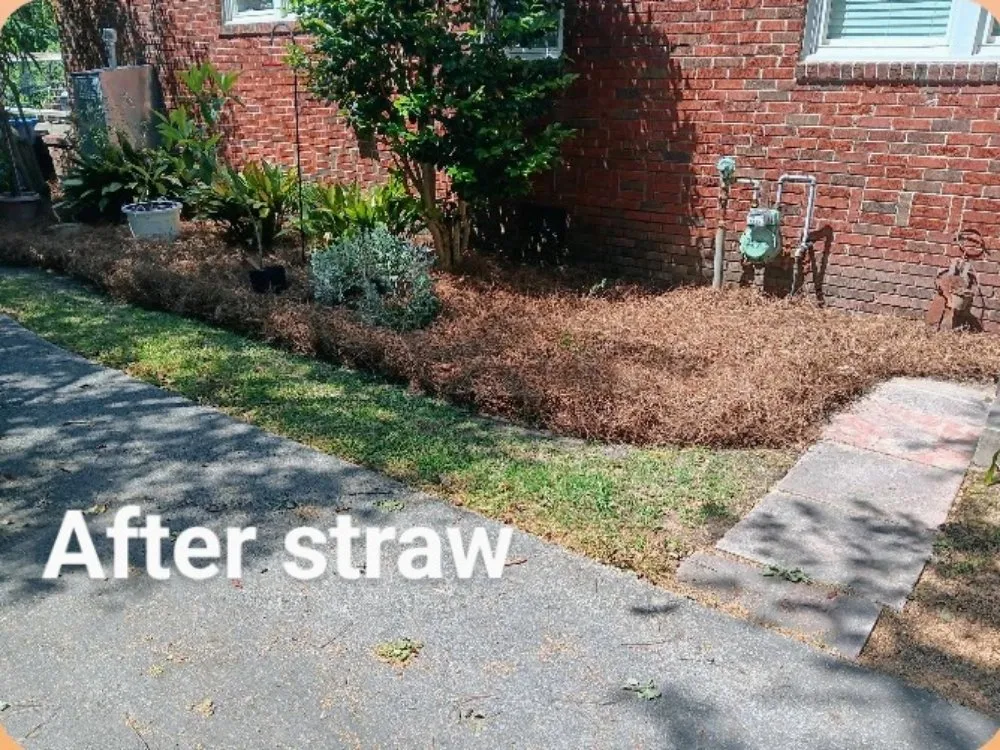 Custom landscape design in Bradley, SC by Alan's Lawn Maintenance