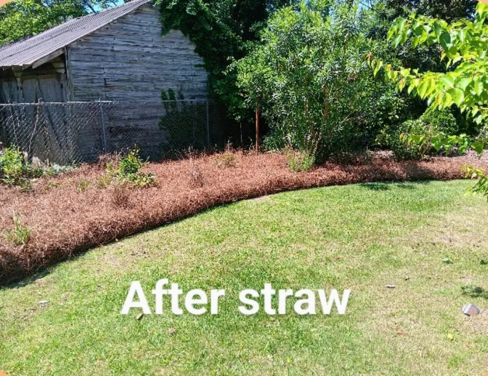Professional garden landscaping experts serving Bradley, SC - Alan's Lawn Maintenance
